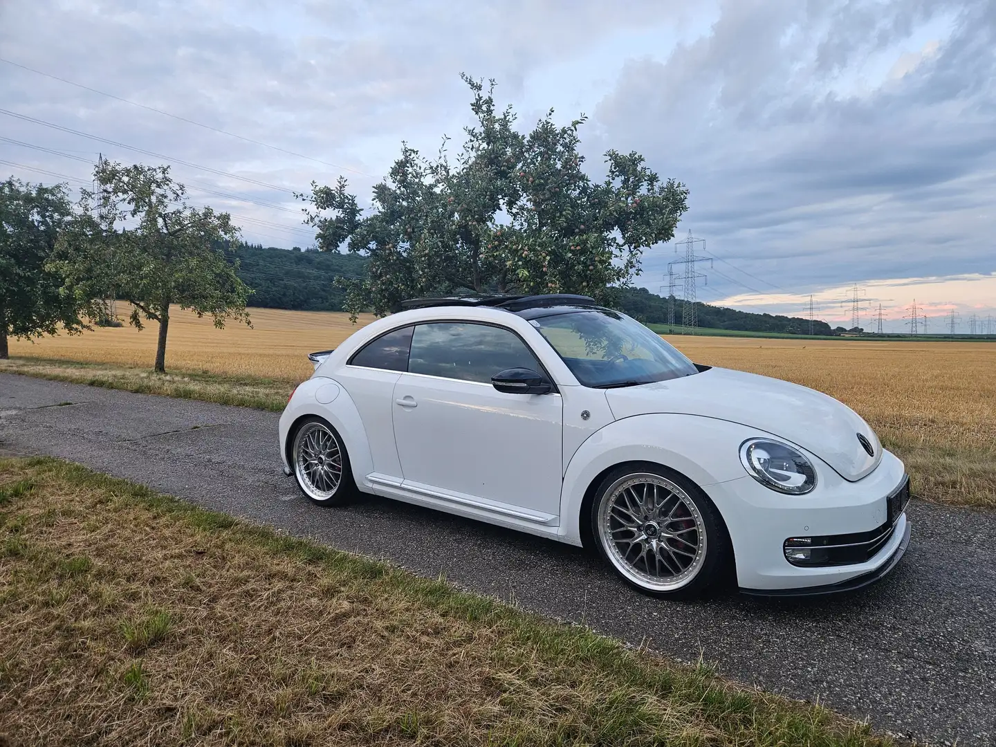 Volkswagen Beetle Beetle 1,2 TSI Club Club Weiß - 2