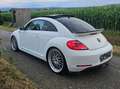 Volkswagen Beetle Beetle 1,2 TSI Club Club Weiß - thumbnail 5