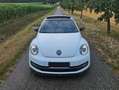 Volkswagen Beetle Beetle 1,2 TSI Club Club Weiß - thumbnail 1