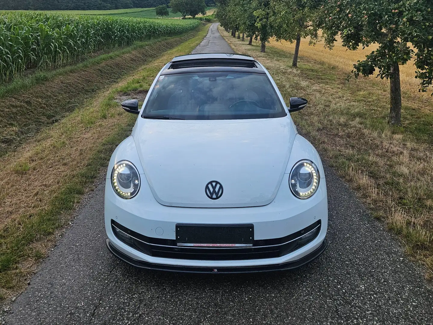 Volkswagen Beetle Beetle 1,2 TSI Club Club Blanco - 1