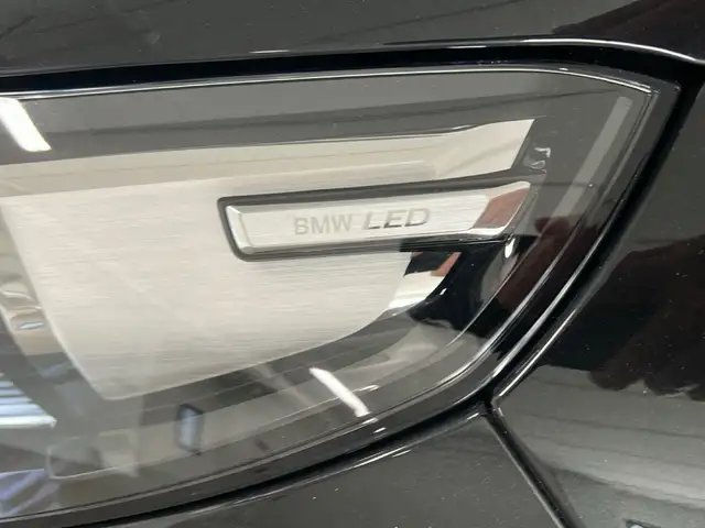 BMW X1 view 12