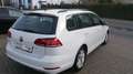 Volkswagen Golf 7 Comfortline Variant Weiß - thumbnail 8