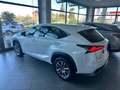 Lexus NX 300h Hybrid 4WD Premium Wit - thumbnail 4