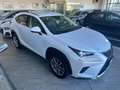 Lexus NX 300h Hybrid 4WD Premium Bianco - thumbnail 2