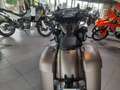 Indian Chief Brun - thumbnail 3