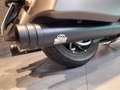 Indian Chief Brun - thumbnail 9