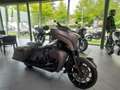 Indian Chief Brun - thumbnail 1