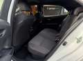 Toyota Corolla 125H Business Plus Blanco - thumbnail 14