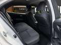 Toyota Corolla 125H Business Plus Blanco - thumbnail 16
