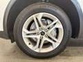 Audi Q5 40 TDI QUATTRO*SPORT*STHZ*LANE*ACC*AHK*TOP* Weiß - thumbnail 13