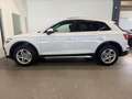 Audi Q5 40 TDI QUATTRO*SPORT*STHZ*LANE*ACC*AHK*TOP* Weiß - thumbnail 8