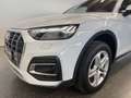 Audi Q5 40 TDI QUATTRO*SPORT*STHZ*LANE*ACC*AHK*TOP* Weiß - thumbnail 12