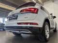 Audi Q5 40 TDI QUATTRO*SPORT*STHZ*LANE*ACC*AHK*TOP* Weiß - thumbnail 15