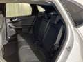 Ford Kuga 2,5 Duratec FHEV Active X Aut. AWD Weiß - thumbnail 16