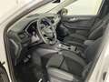 Ford Kuga 2,5 Duratec FHEV Active X Aut. AWD Weiß - thumbnail 21