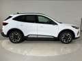 Ford Kuga 2,5 Duratec FHEV Active X Aut. AWD Weiß - thumbnail 4
