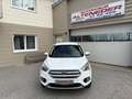 Ford Kuga Kuga 1,5 TDCi Titanium  NAVI  LEDER SITZ  WINTER-PAKET Weiß - thumbnail 2