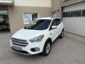 Ford Kuga Kuga 1,5 TDCi Titanium  NAVI  LEDER SITZ  WINTER-PAKET Weiß - thumbnail 3