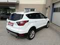 Ford Kuga Kuga 1,5 TDCi Titanium  NAVI  LEDER SITZ  WINTER-PAKET Weiß - thumbnail 6