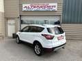 Ford Kuga Kuga 1,5 TDCi Titanium  NAVI  LEDER SITZ  WINTER-PAKET Weiß - thumbnail 4