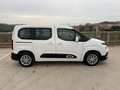 Citroen Berlingo BlueHDi S&S Talla M Live 100 Wit - thumbnail 12