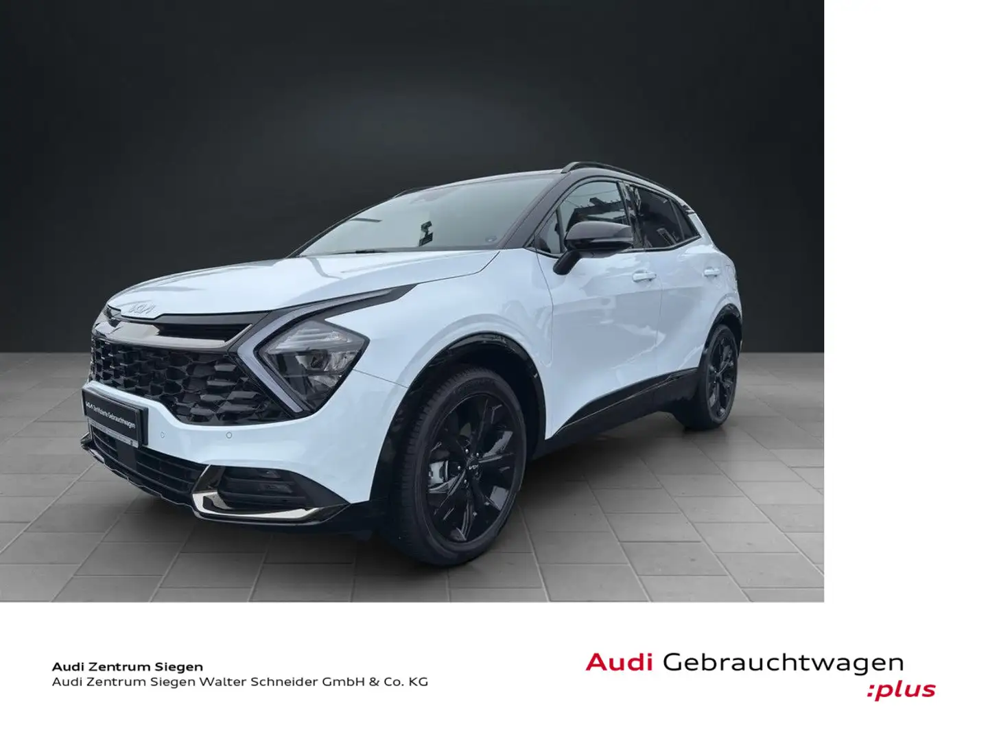 Kia Sportage SPORTAGE 1.6T 180 AWD DCT Nightline Pano Navi SH Weiß - 1