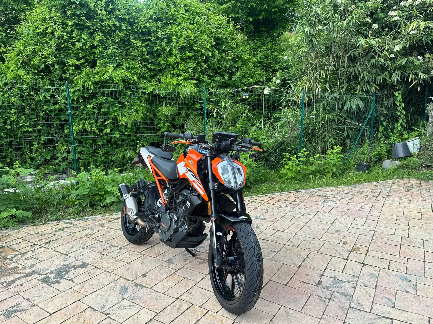 KTM 125 Duke Portocaliu - 2