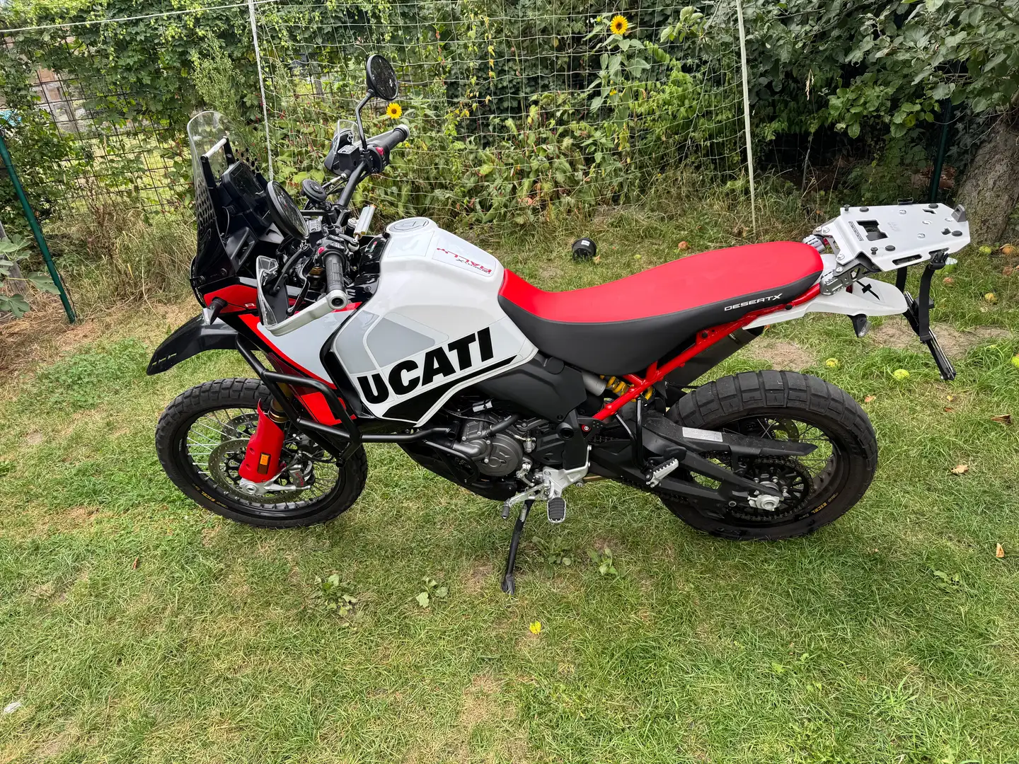 Ducati DesertX Rally Wit - 1