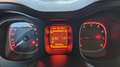 Fiat Panda 1.0 FireFly S&S Hybrid Grijs - thumbnail 6