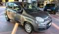 Fiat Panda 1.0 FireFly S&S Hybrid Grijs - thumbnail 3