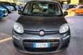Fiat Panda 1.0 FireFly S&S Hybrid Grijs - thumbnail 2