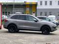 Porsche Cayenne Diesel Grau - thumbnail 4