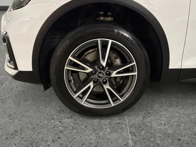 Audi Q5 40 TDI quattro intense Ansicht 14