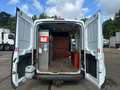 Ford Transit L3H2 Blanco - thumbnail 16
