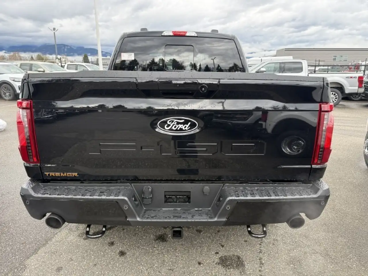 Ford F 150 снимка Ford F 150