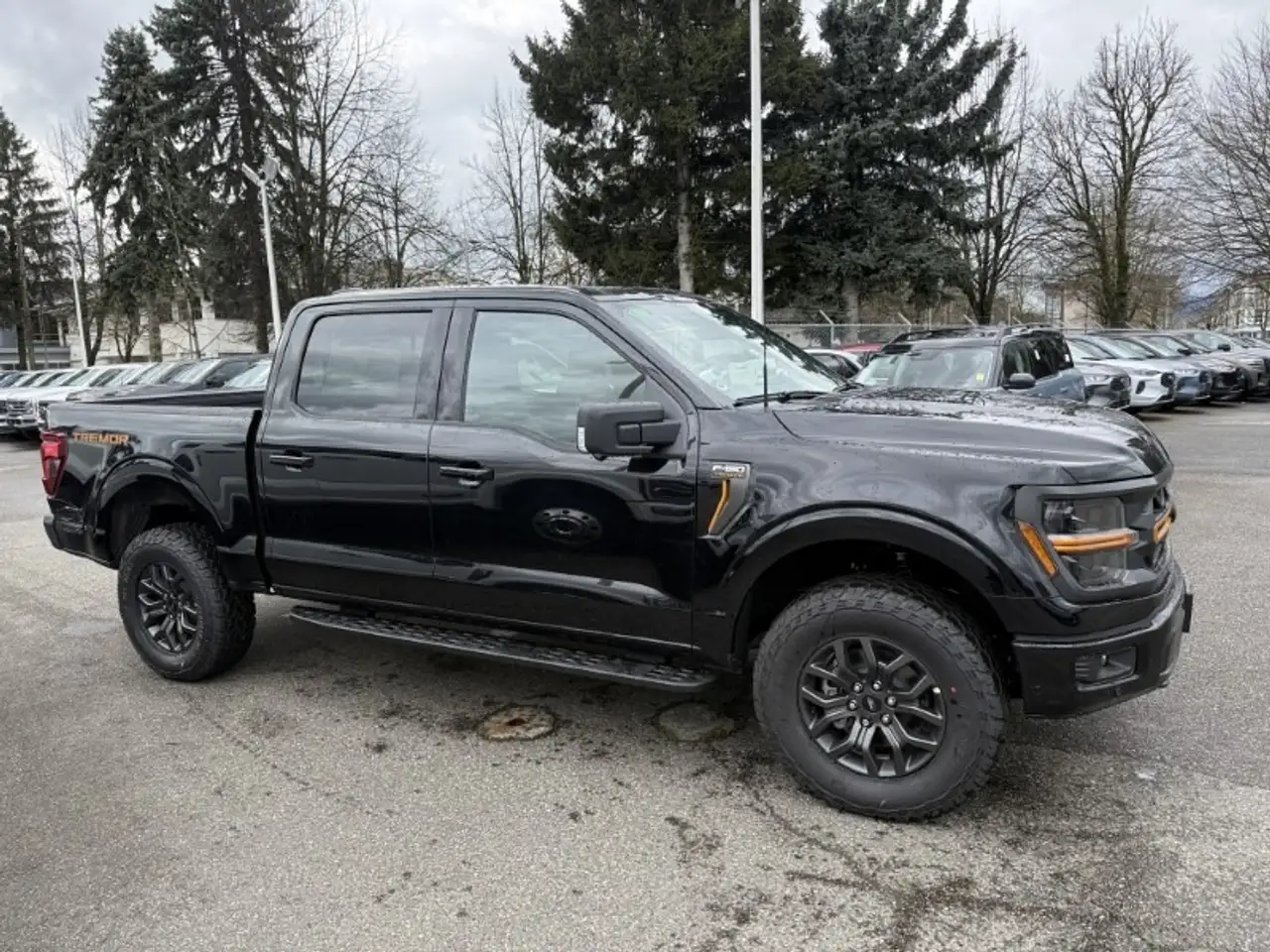 Ford F 150 снимка Ford F 150