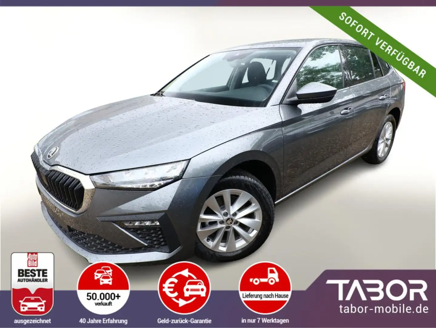 Skoda Scala TSI 116 DSG Selec LED vEHK ACC Kessy SunS Grau - 1