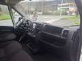 Citroen Jumper Fg. 2.2BlueHDi 30 L1H1 S&S 120 Wit - thumbnail 30