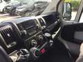 Peugeot Boxer 163CV CASSONE+TELO 4315X2100 KM 109800 PREZZ+ IVA Blanc - thumbnail 15