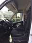 Peugeot Boxer 163CV CASSONE+TELO 4315X2100 KM 109800 PREZZ+ IVA Blanc - thumbnail 14