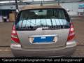 Mercedes-Benz A 170 A -Klasse A 170 AUTOMATIK *TÜV 03-2027*SH Gold - thumbnail 4