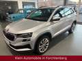 Skoda Karoq Style Aut. Navi LED Kamera AHK Virtual 1HD Silber - thumbnail 5