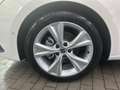 SEAT Leon Sportstourer 1.0 TSI FR! Nur an EXPORT in D Blanco - thumbnail 3