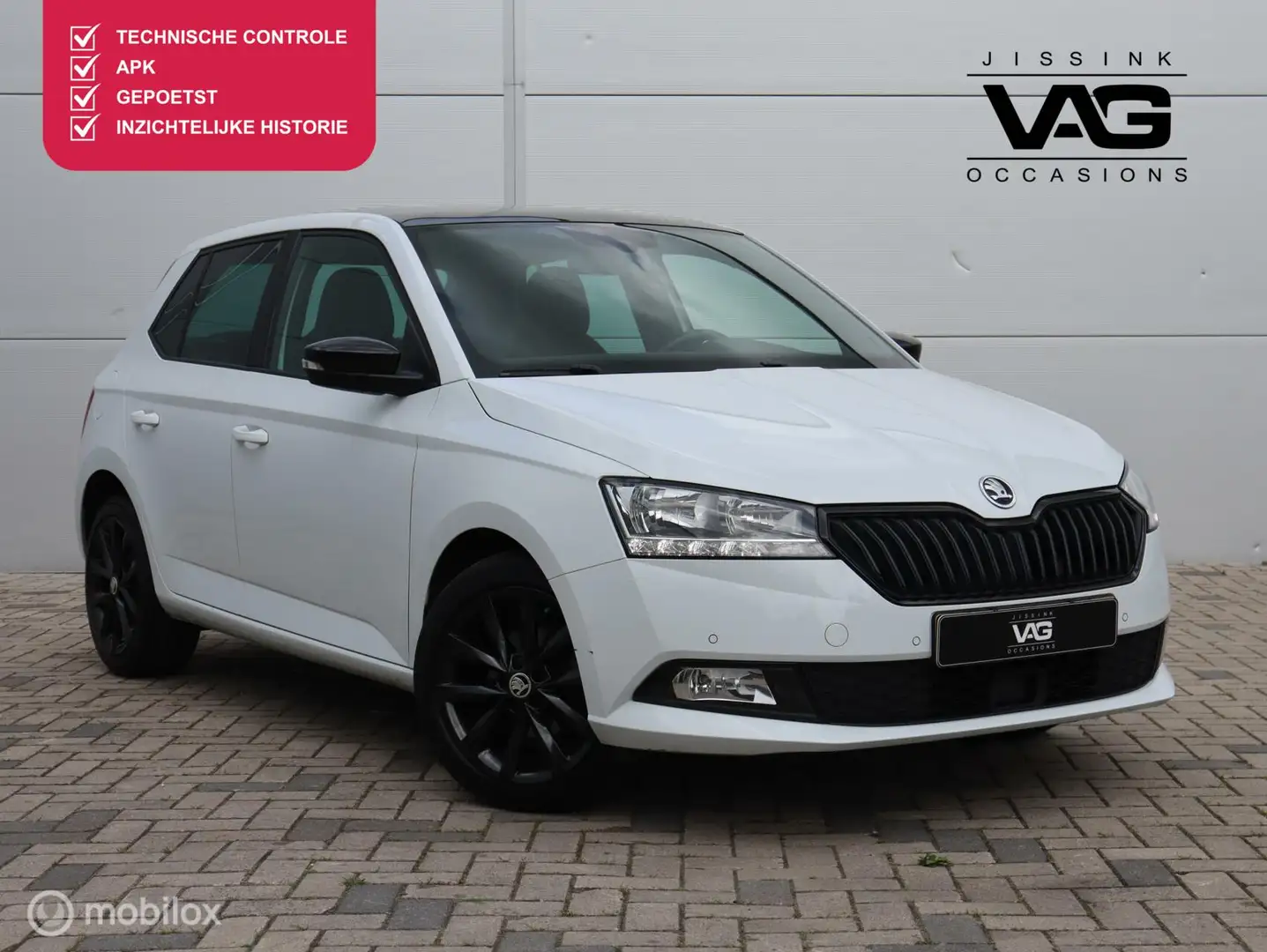 Skoda Fabia 1.0 TSI Sport Pano LED PDC Navi Clima Stoelverwarm Білий - 1