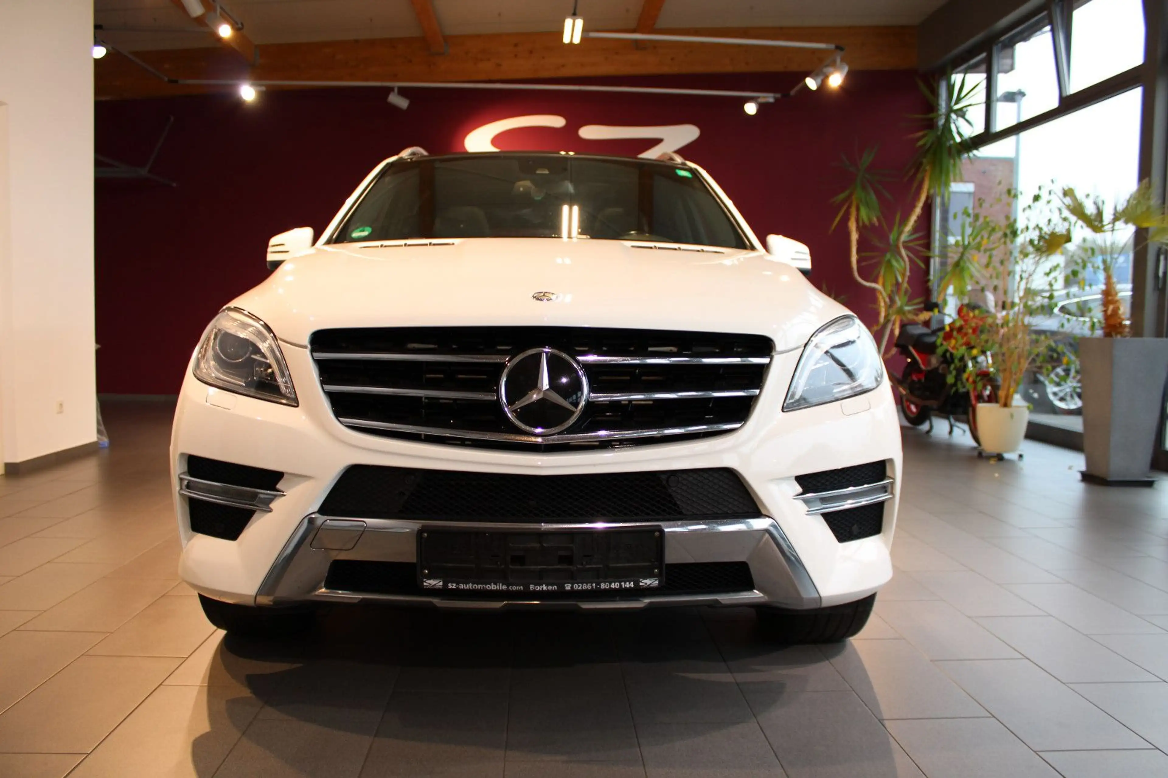 Mercedes-Benz ML 350 CDI BlueTec 4Matic AHK Navi PDC — photo 2