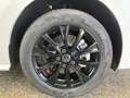Volkswagen T7 Multivan T7 Multivan Edition LÜ 2.0 TSI DSG AHK PANO STHZ Weiß - thumbnail 12