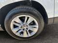 Skoda Karoq 4x4 Style Limited TDI DSG Weiß - thumbnail 4