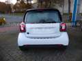 smart forTwo fortwo coupe electric drive / EQ Weiß - thumbnail 6