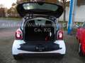 smart forTwo fortwo coupe electric drive / EQ Weiß - thumbnail 9