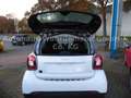 smart forTwo fortwo coupe electric drive / EQ Weiß - thumbnail 8
